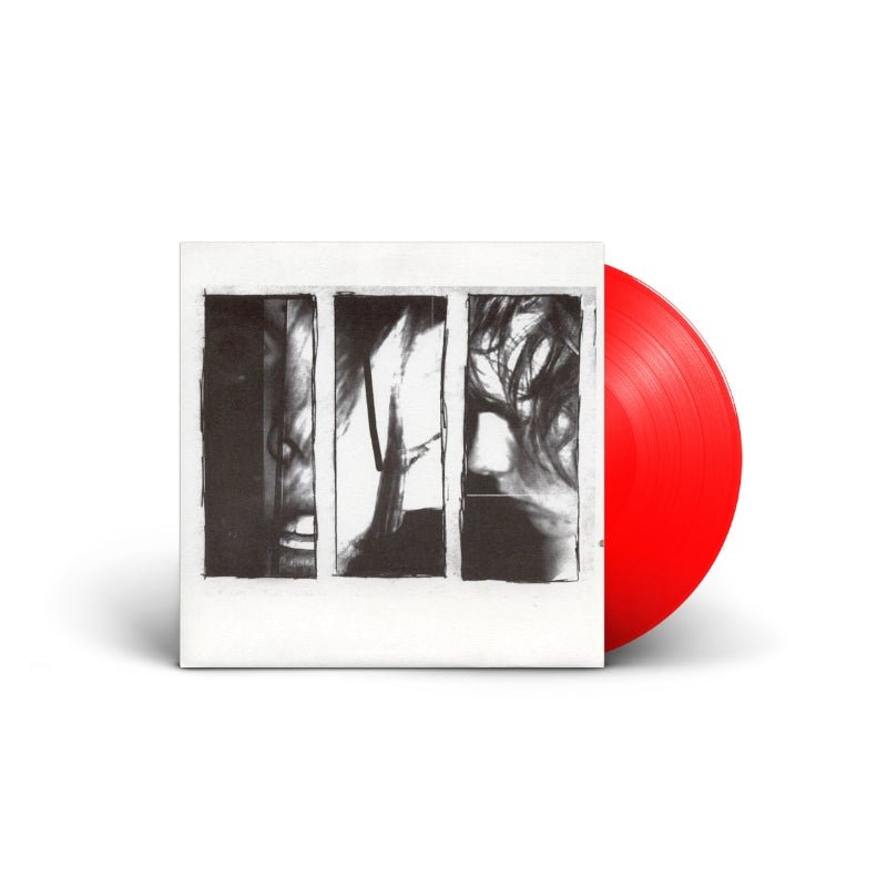 Amusement Parks On Fire - Venus In Cancer - Saint Marie Records