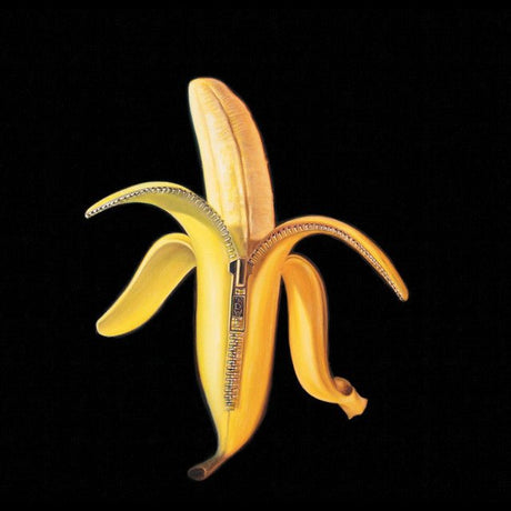 The Dandy Warhols - Welcome To The Monkey House Vinyl