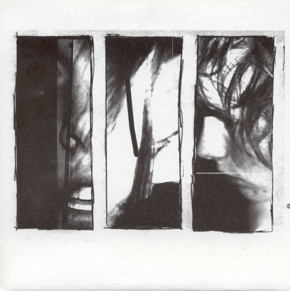 Amusement Parks On Fire - Venus In Cancer - Saint Marie Records