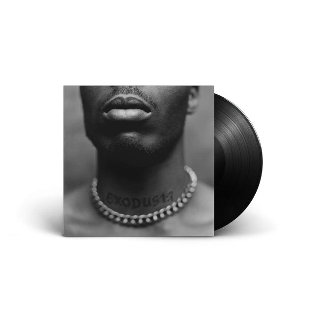 DMX - Exodus Records & LPs Vinyl