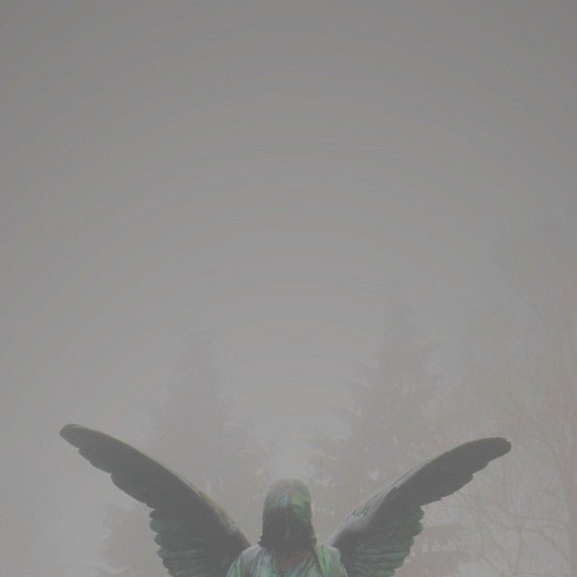 Jesu - Pity / Piety Vinyl