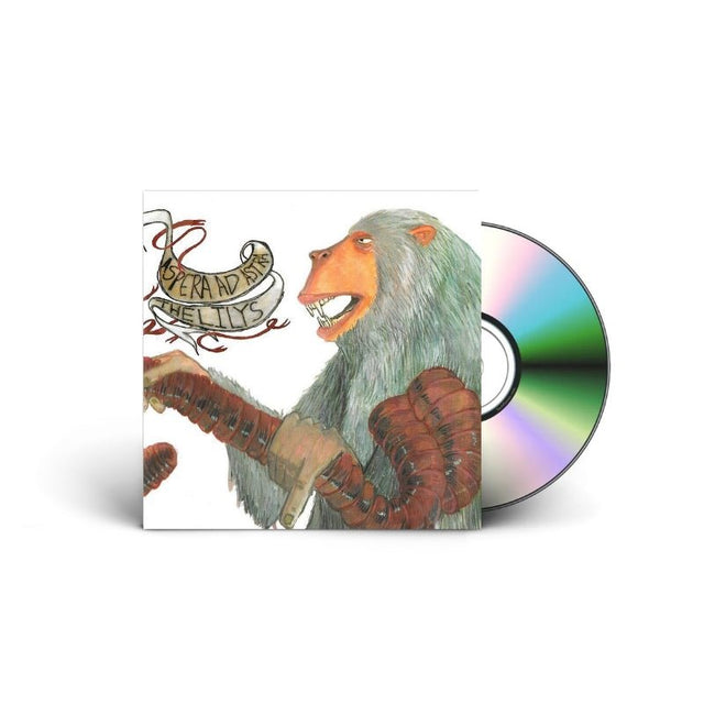 The Lilys / Aspera Ad Astra - The Lilys/Aspera Ad Astra - Saint Marie Records