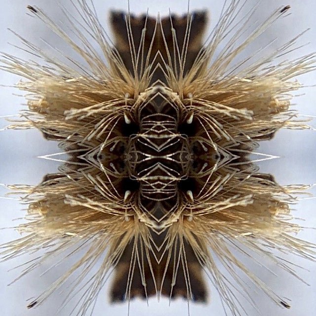 Yakuza - Sutra Vinyl