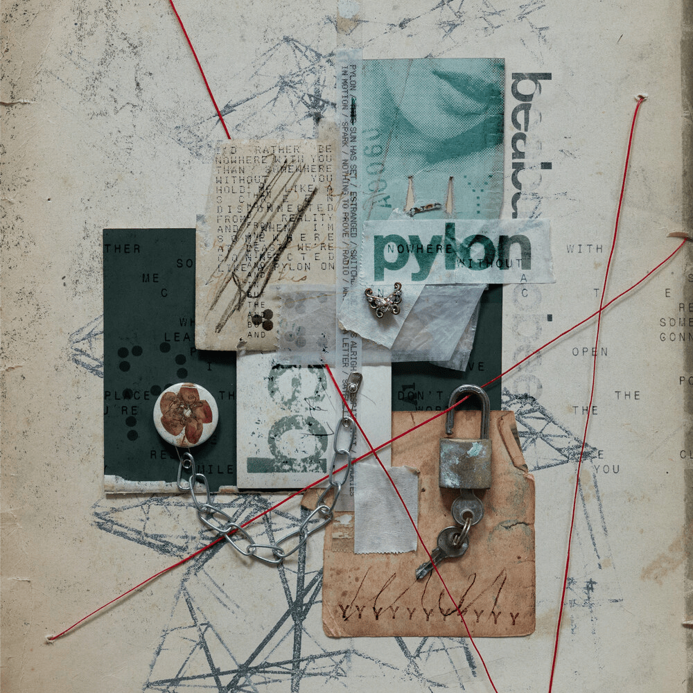 beabadoobee - Pylon oyster result 99