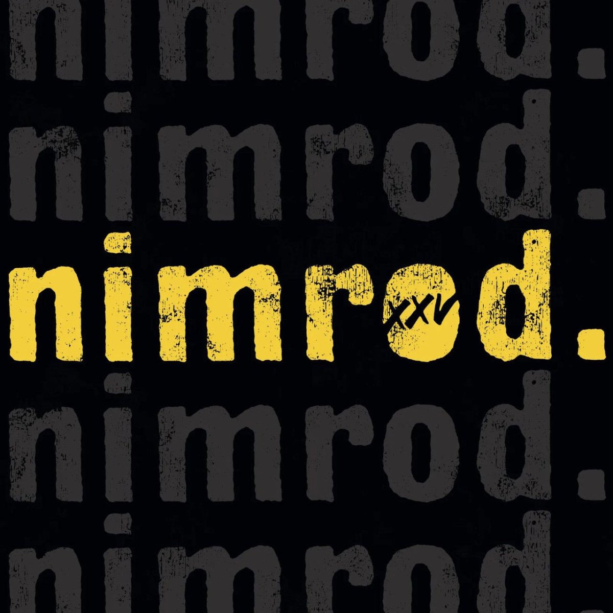 Green Day - Nimrod. XXV Vinyl Box Set Vinyl