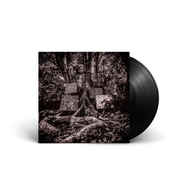 Kamasi Washington - Harmony Of Difference Vinyl