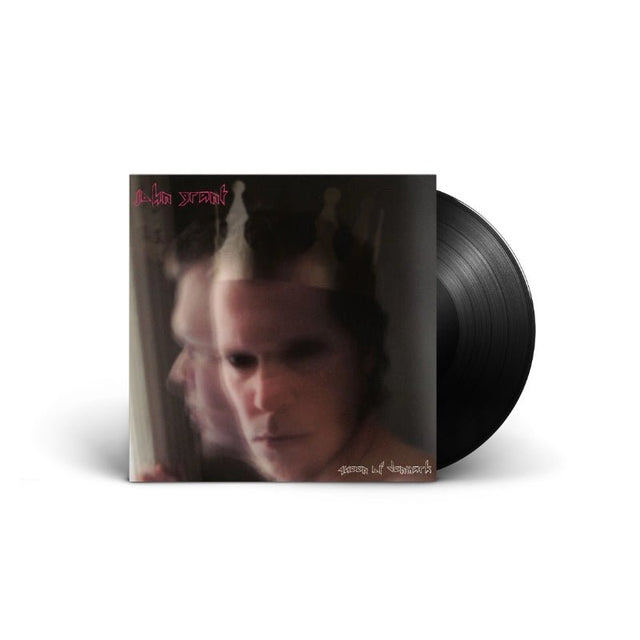 John Grant - Queen Of Denmark Records & LPs Vinyl