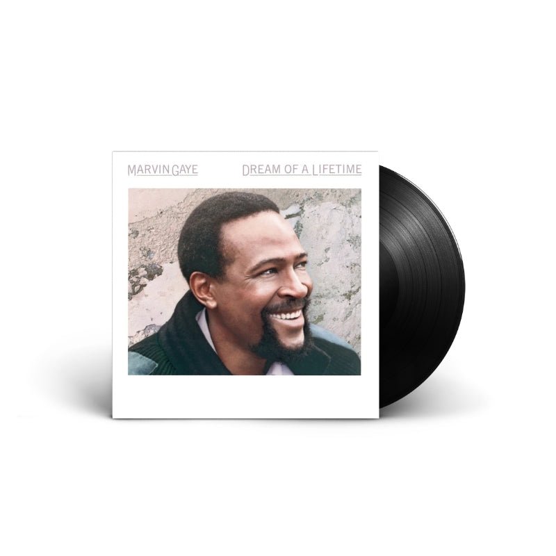 Marvin Gaye - Dream Of A Lifetime Vinyl