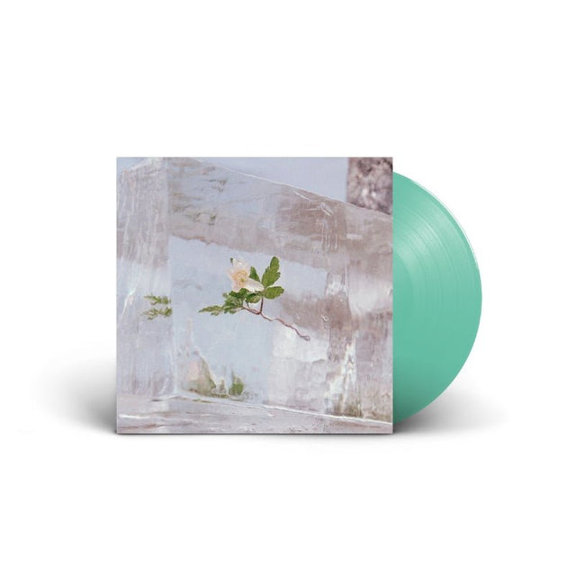 Efterklang - Windflowers Records & LPs Vinyl