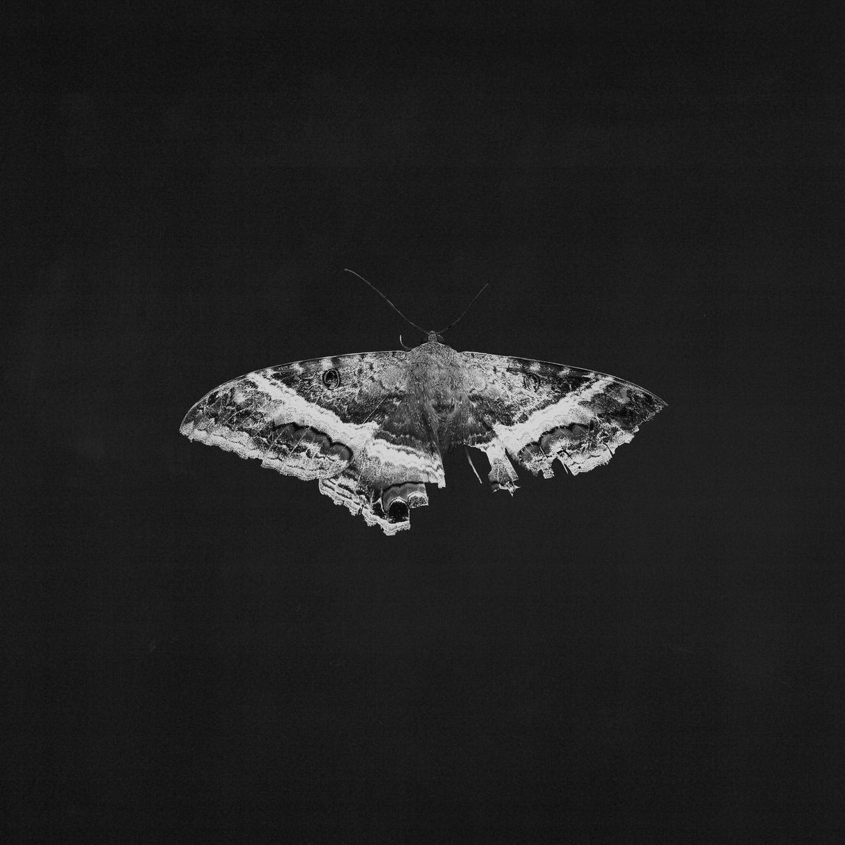 Kendrick Lamar - To Pimp A Butterfly