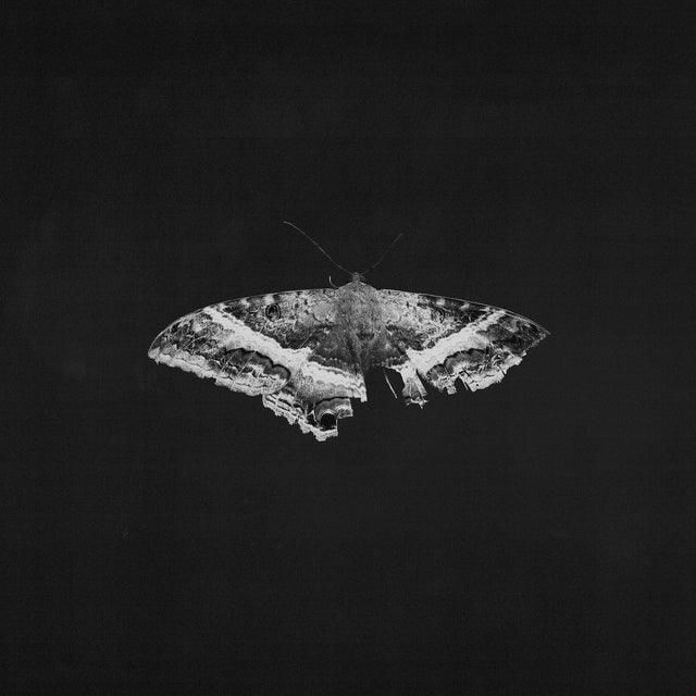 Kendrick Lamar - To Pimp A Butterfly