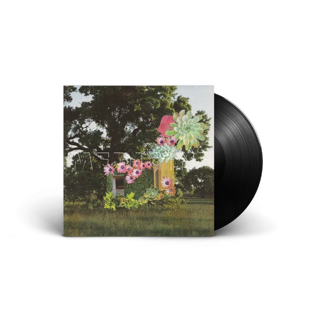 Medicine - Home Everywhere Vinyl