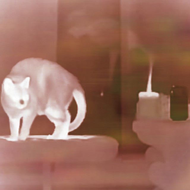 Mark Van Hoen - Nightvision - Saint Marie Records