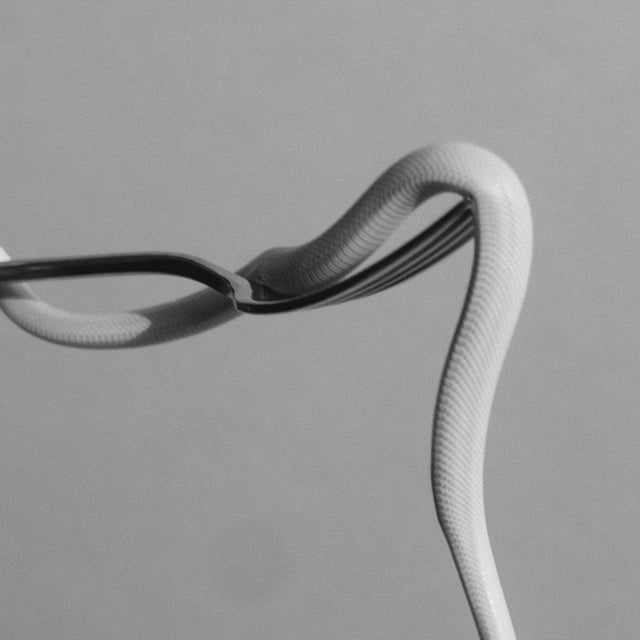 Animals As Leaders - Parrhesia Vinyl