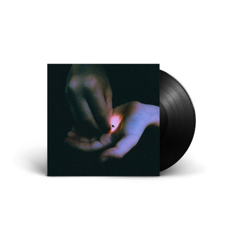 Bambara - Stray Vinyl Vinyl