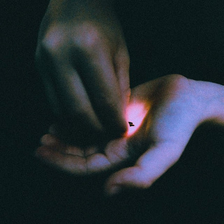 Bambara - Stray Vinyl Vinyl