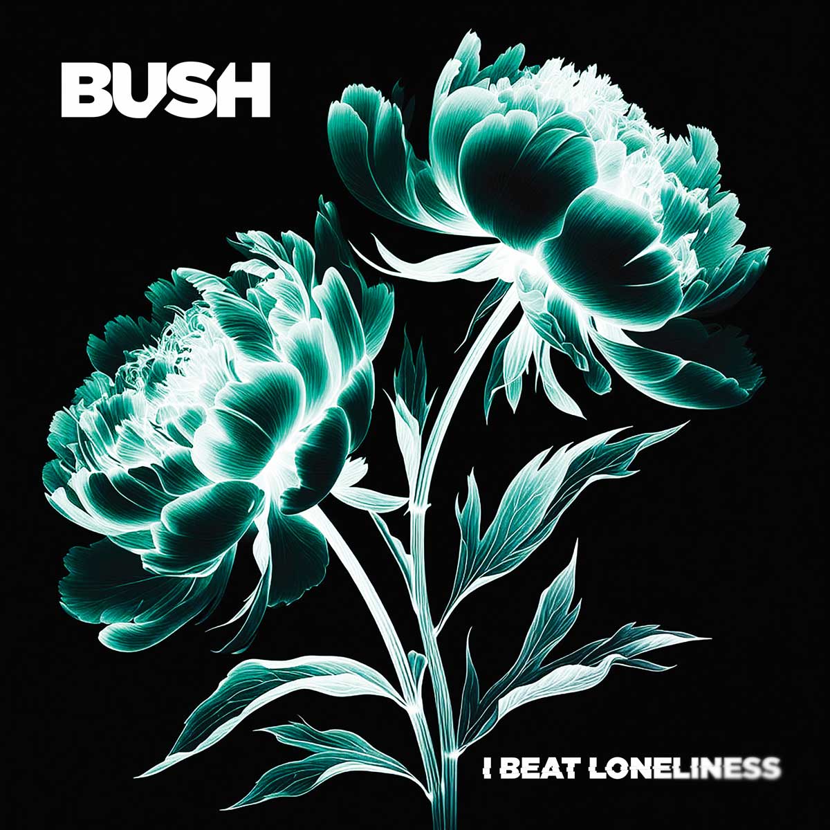 Bush - I Beat Loneliness Vinyl Vinyl