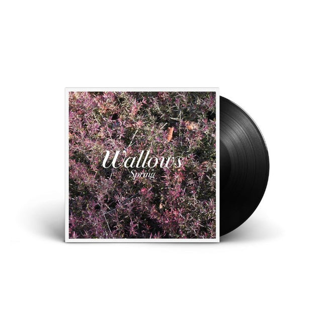 Wallows - Spring Vinyl