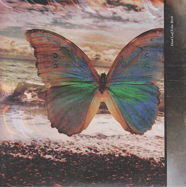 Dead Leaf Echo - Birth 7" Vinyl