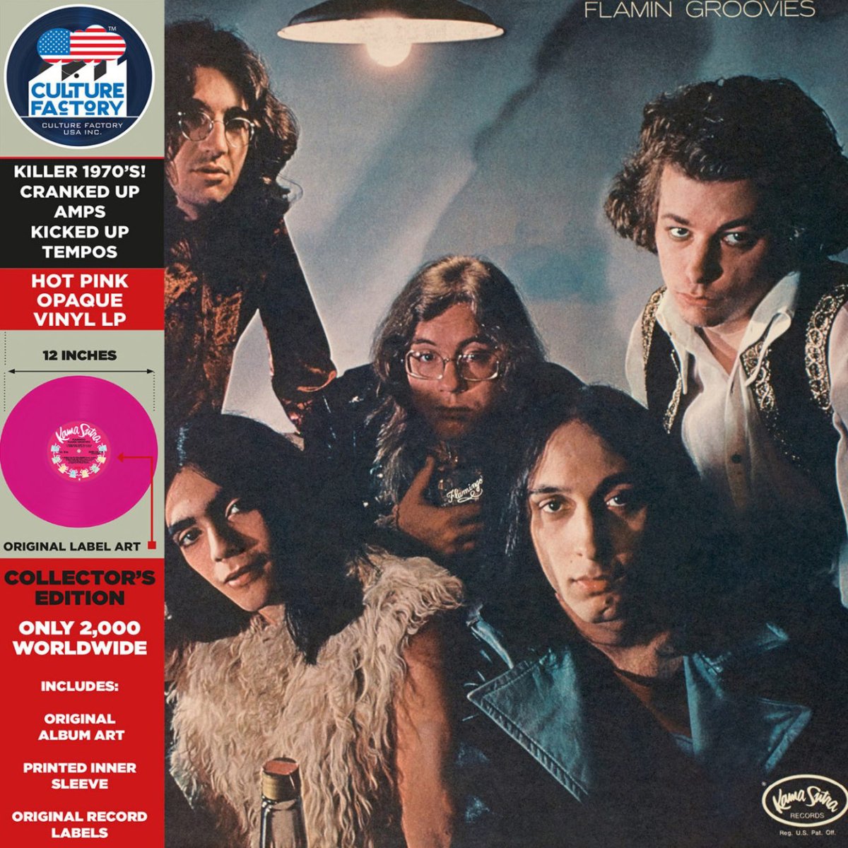 Flamin Groovies - Flamingo Vinyl