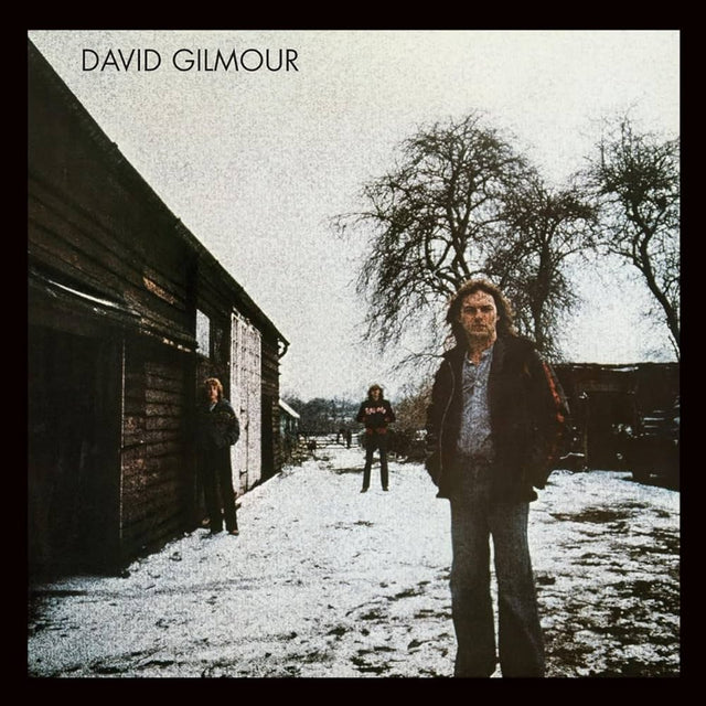 David Gilmour - David Gilmour Vinyl Vinyl