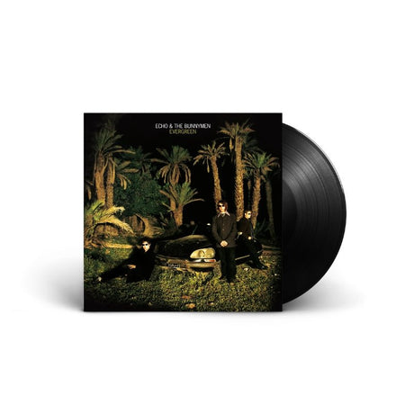 Echo & The Bunnymen - Evergreen Vinyl