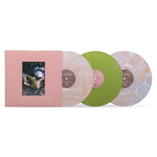 Hayley Williams - Flowers For Vases & Petals For Armor Vinyl Vinyl