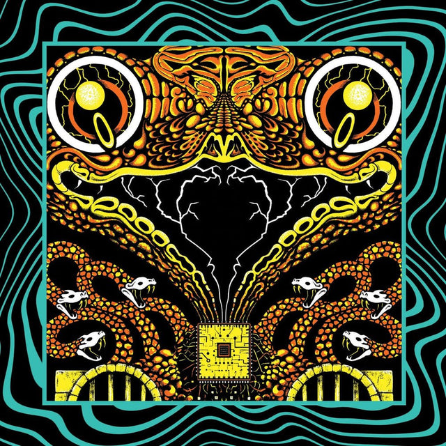 King Gizzard And The Lizard Wizard - Acoustic Gizzard Vol. II - Live in San Diego '24 Vinyl Vinyl