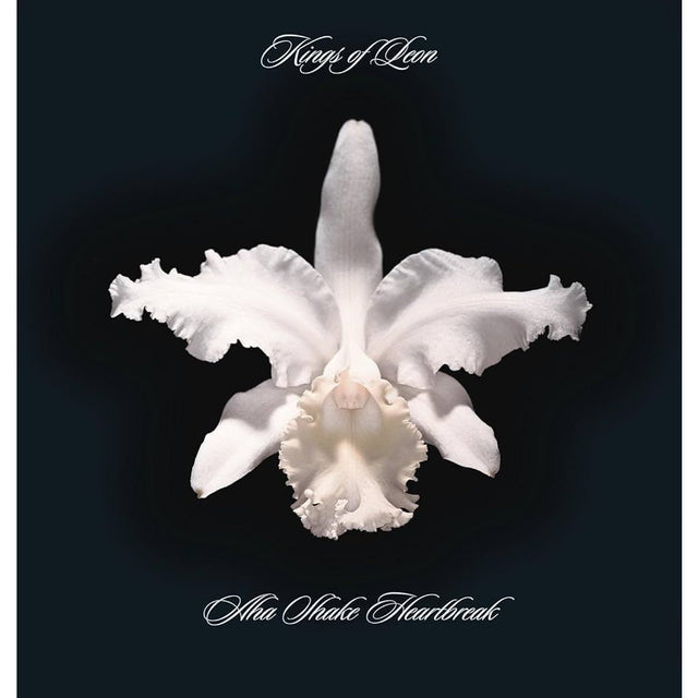 Kings Of Leon - Aha Shake Heartbreak Vinyl