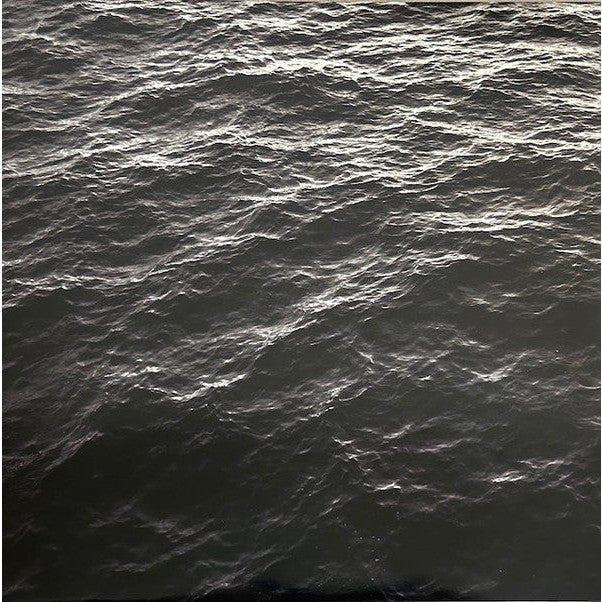 Locust - The First Cause Vinyl