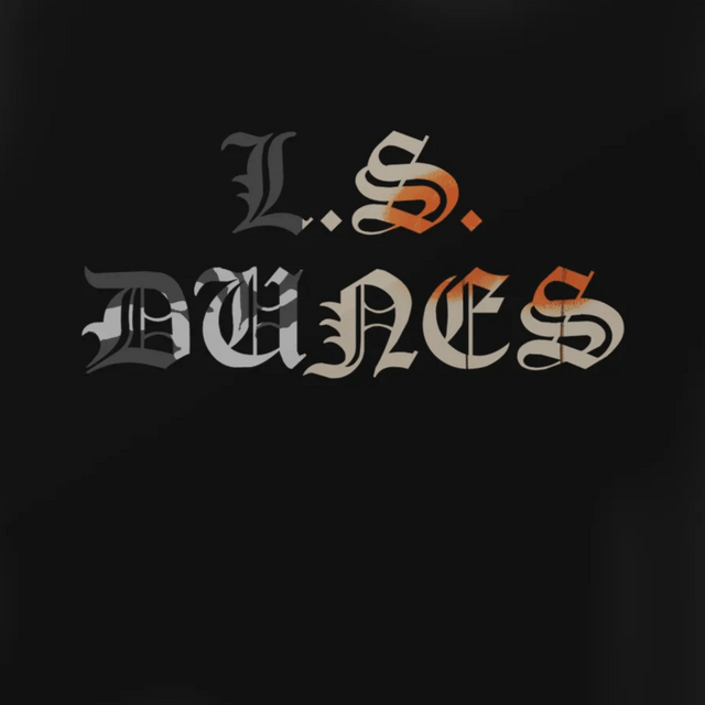 L.S. Dunes - Past Lives Vinyl Vinyl