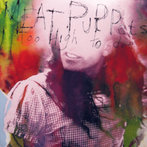 Meat Puppets - Too High To Die Vinyl Vinyl