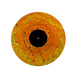 Orange - The Complete Recordings Records & LPs Vinyl