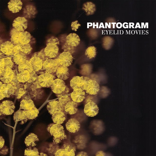 Phantogram - Eyelid Movies Vinyl Vinyl