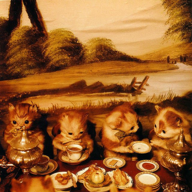 Piano Magic - Low Birth Weight Vinyl Vinyl