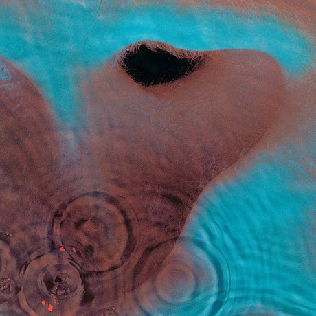 Pink Floyd - Meddle Vinyl Vinyl