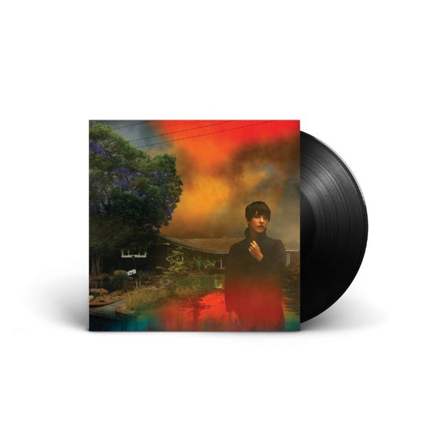 Sharon Van Etten - We've Been Going About This All Wrong Vinyl Vinyl