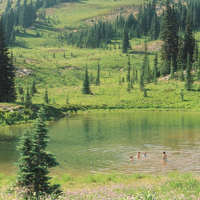 Skirts - Great Big Wild Oak Vinyl Vinyl