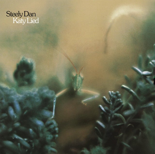 Steely Dan - Katy Lied Vinyl Vinyl