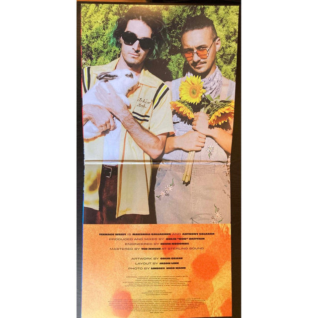 Teenage Wrist - Earth Is A Black Hole Vinyl