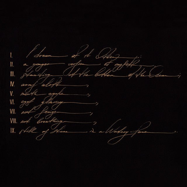 Telefon Tel Aviv - Dreams Are Not Enough Vinyl Vinyl