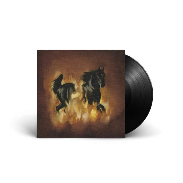 The Besnard Lakes - The Besnard Lakes Are The Dark Horse Vinyl Vinyl