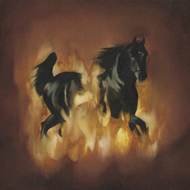 The Besnard Lakes - The Besnard Lakes Are The Dark Horse Vinyl Vinyl