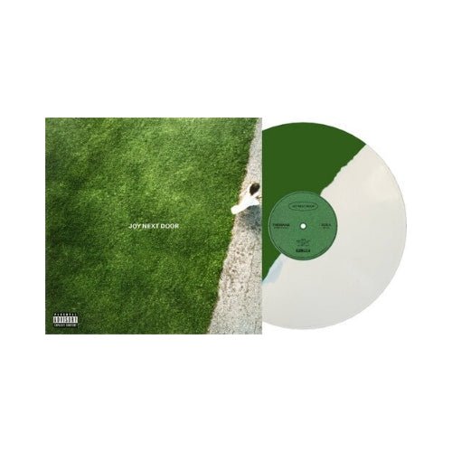 The Maine - Joy Next Door Vinyl Vinyl