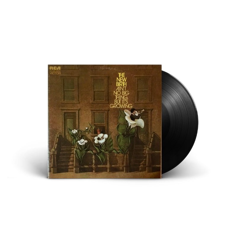The New Birth - Ain't No Big Thing, But It's Growing Vinyl