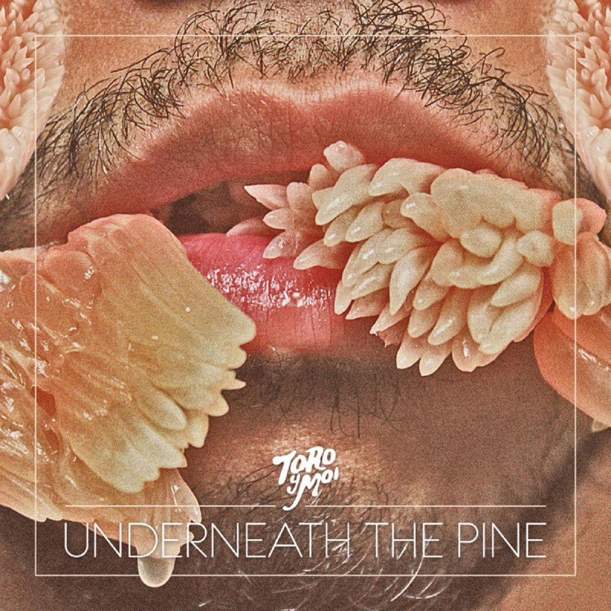 Toro Y Moi - Underneath The Pine Vinyl Vinyl