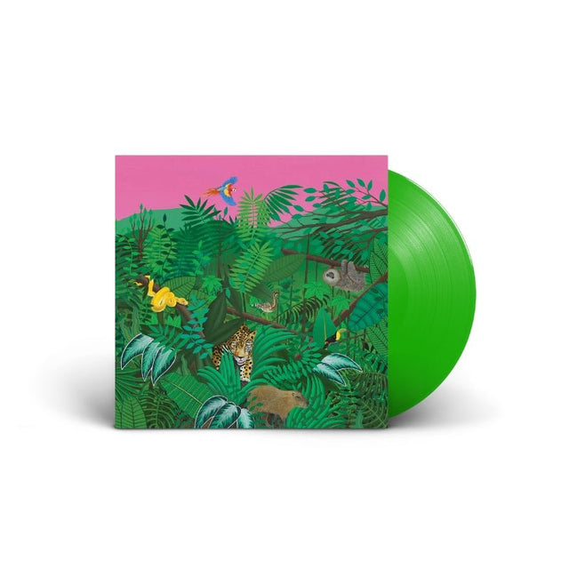 Turnover - Good Nature Vinyl Vinyl