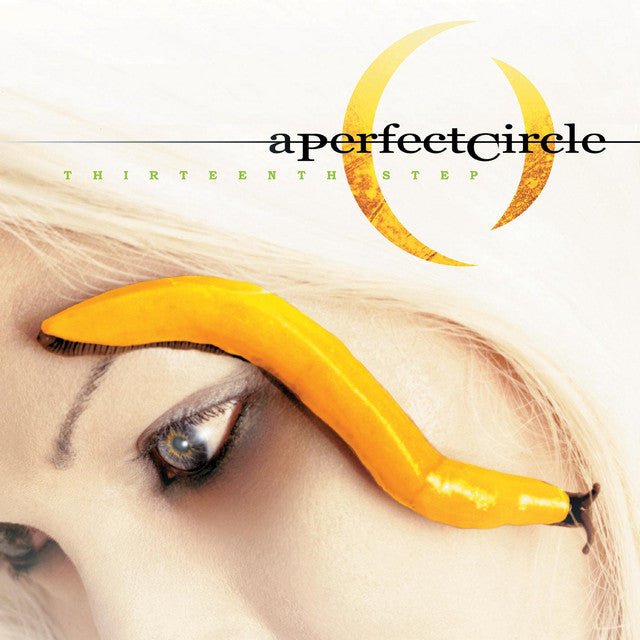 A Perfect Circle - Thirteenth Step Vinyl
