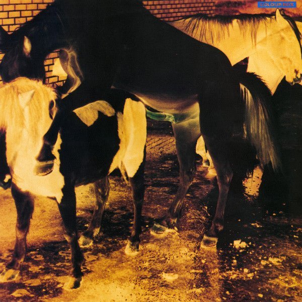 Colour Box* - Colour Box Records & LPs Vinyl