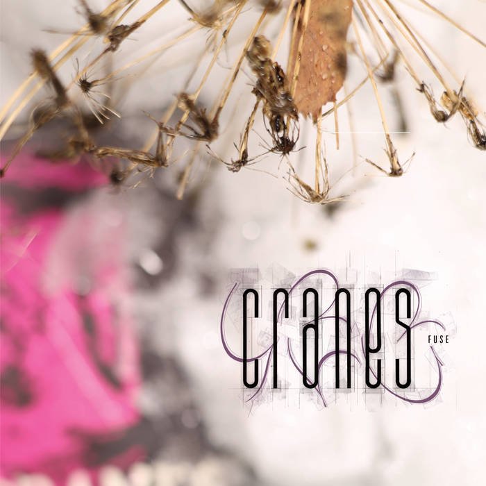 Cranes - Fuse Vinyl